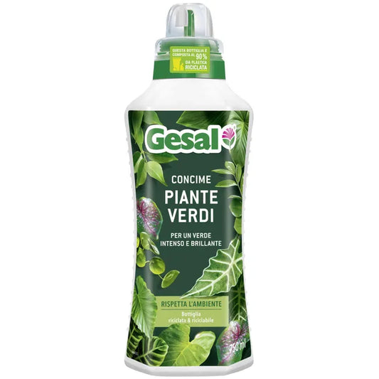 CONCIME PIANTE VERDI LIQUIDO