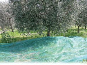 RETE PER  OLIVE ANTISPINE