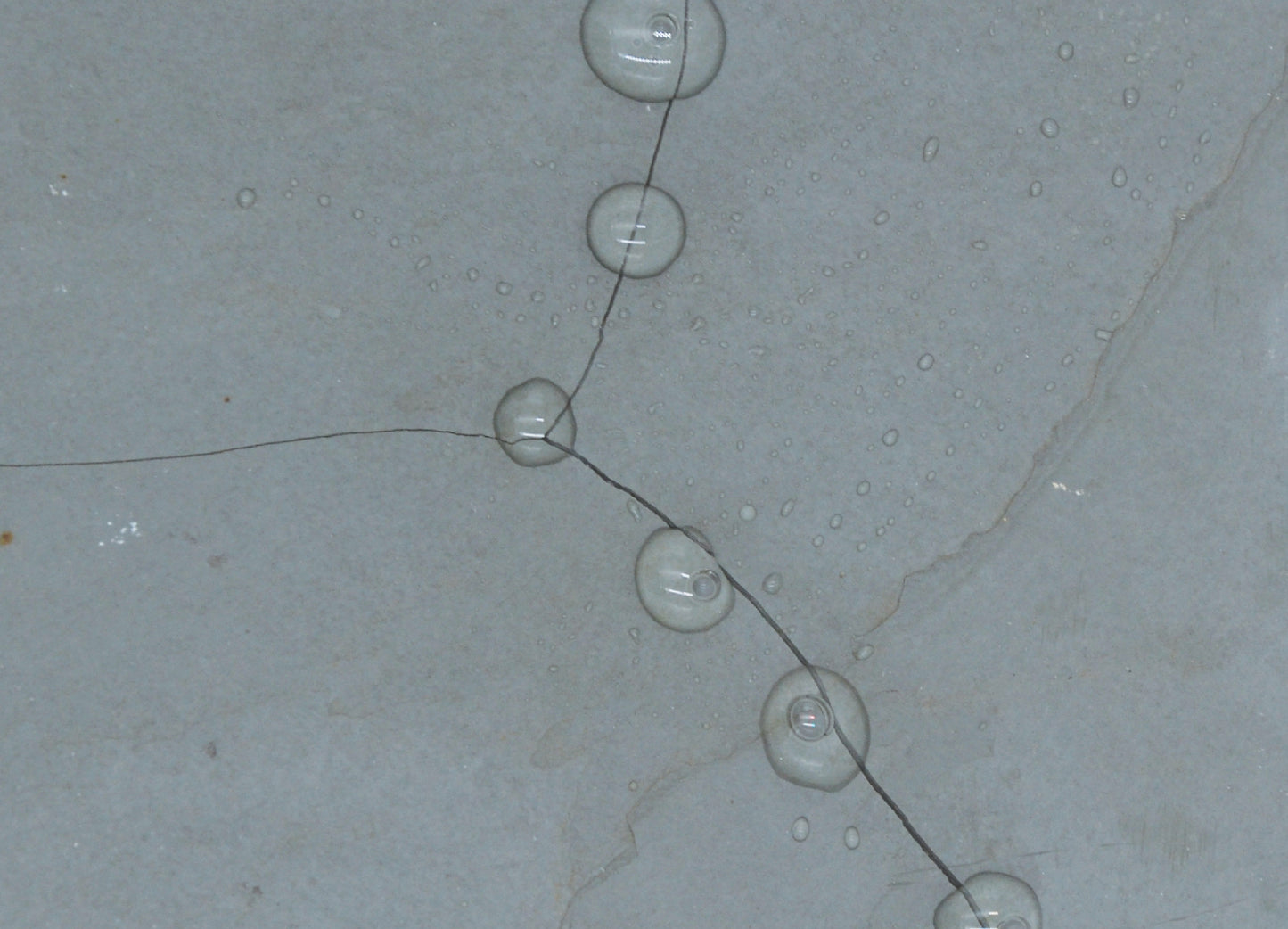 SANA TERRAZZA -1L