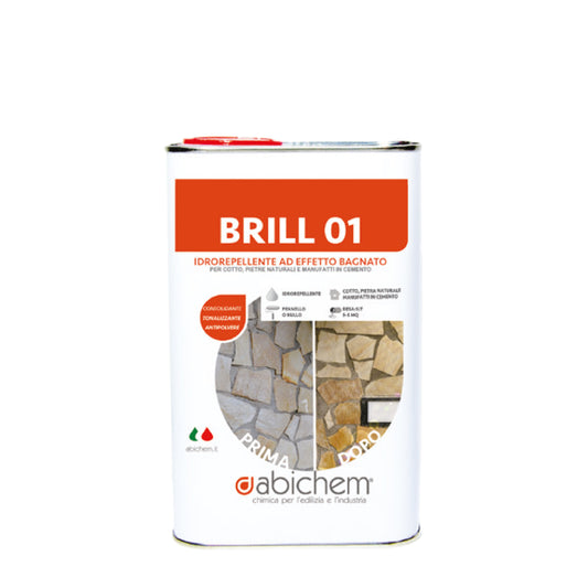 BRILL 01  ANTIPOLVERE -1L